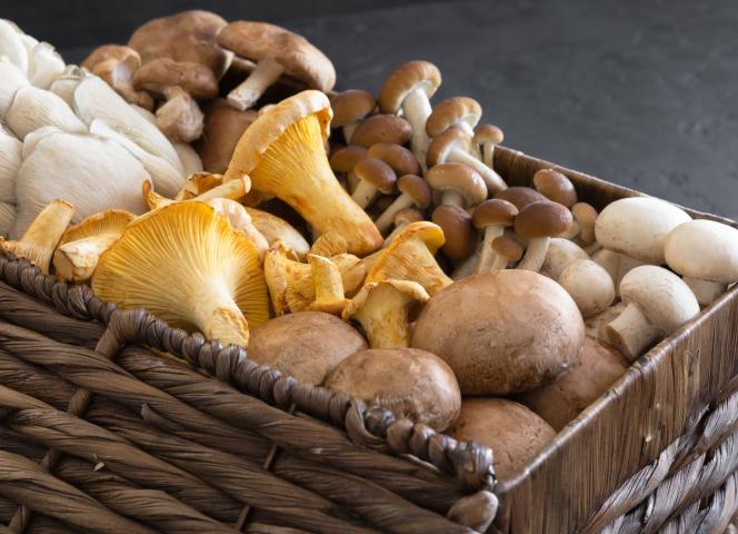 patrimoine culturel loire