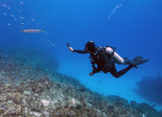 Plongée sous-marine noirmoutier
