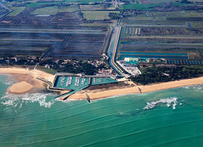Marais du Douhet oléron