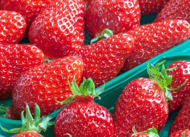 fraise plougastel spécialité bretagne