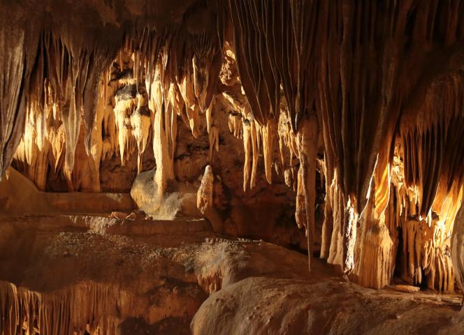 Les Grottes pétrifiantes Loire