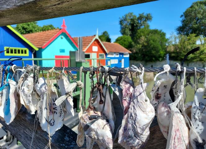 spécialité huitres marennes d'oléron