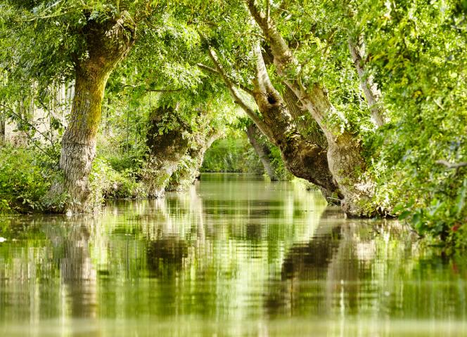 le marais vendeen proche camping le petit rocher