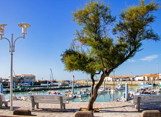 port-la-cotiniere île d'oléron