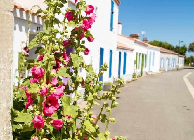 quartier banzeau vacances ile noirmoutier