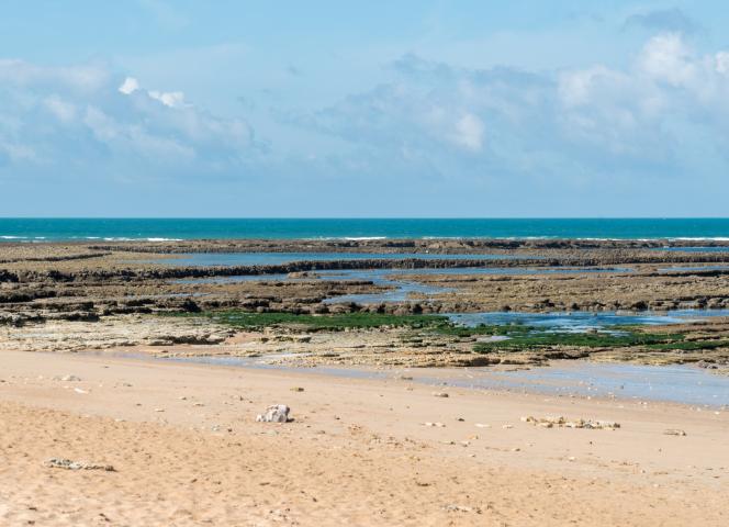 Saint-Georges-d’Oléron proche camping signol