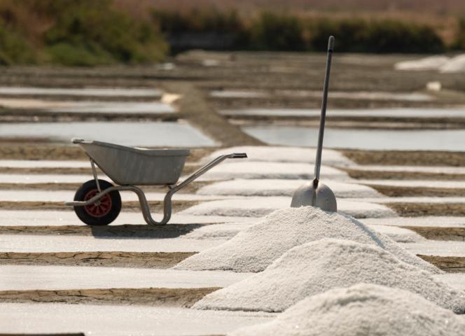 Marais salants en Guérande