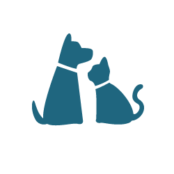 Assurance voyage - Frais de soins vétérinaires