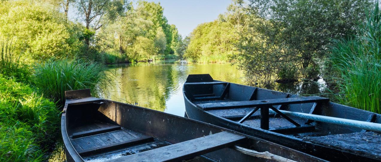 Marais de la Brière