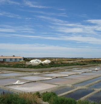 Écomusée des marais salants Ile de Ré