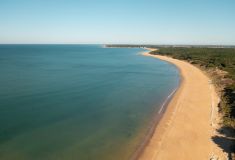 Plage de Longeville sur Mer Camping Le Petit Rocher en Vendée