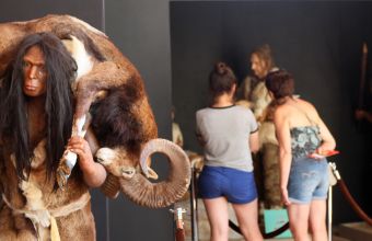 Visite du musée de Tautavel