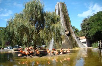 Visite Zoo de la Palmyre camping Signol