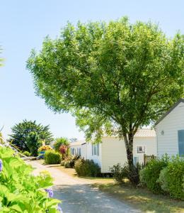 camping baie d'audierne